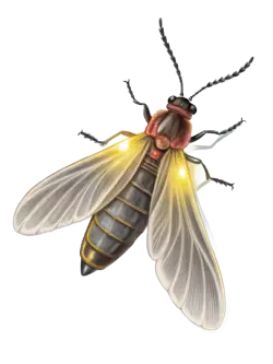 Imagen PNG para descargar